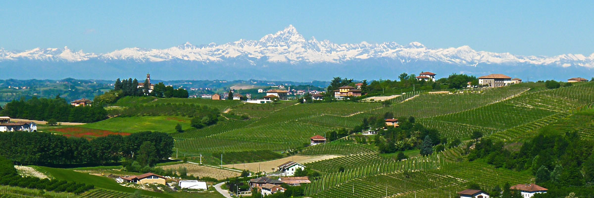 Il territorio di Costigliole d'Asti.